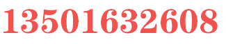 网站LOGO